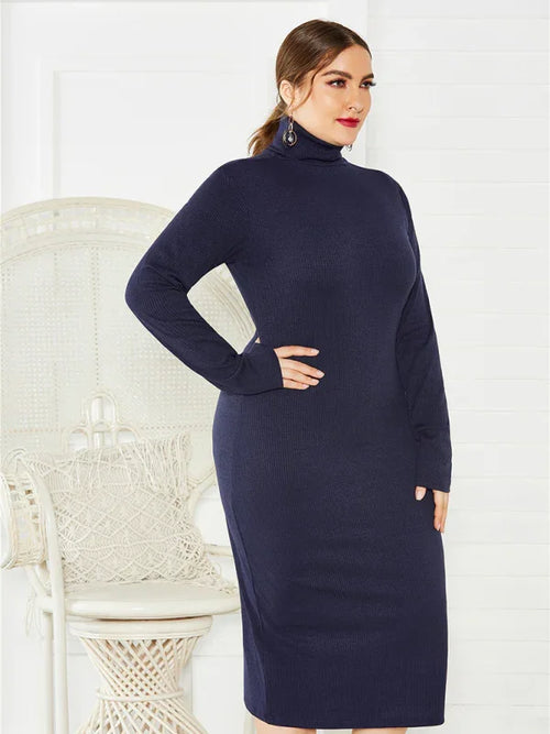 Cozy Turtleneck Knit Midi Dress