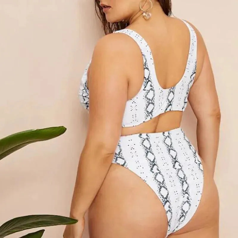Women Animal Print High Waisted Bikini Set