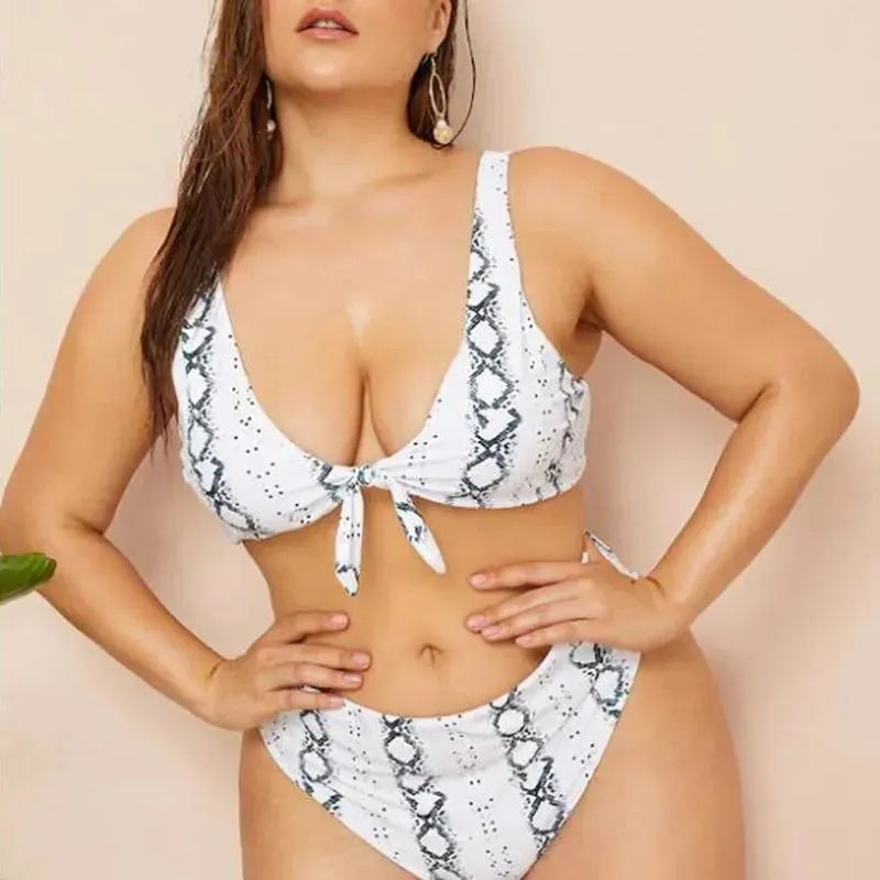 Women Animal Print High Waisted Bikini Set
