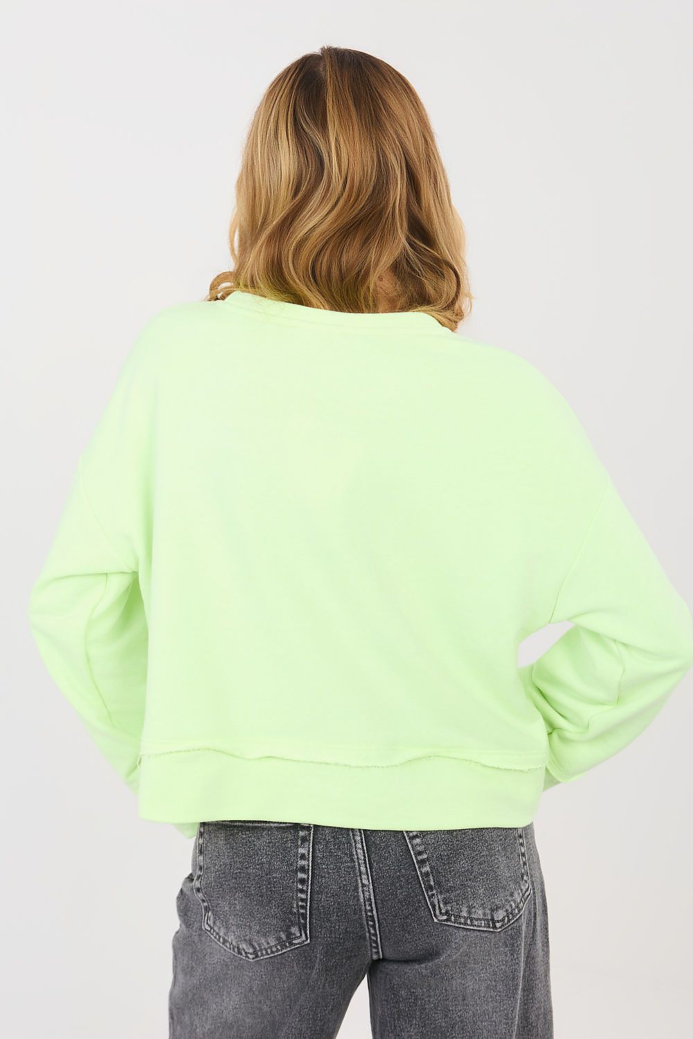 Women Regular Embroidered Crop Sweatshirt Premium Style-Women Sweatshirt-LeStyleParfait
