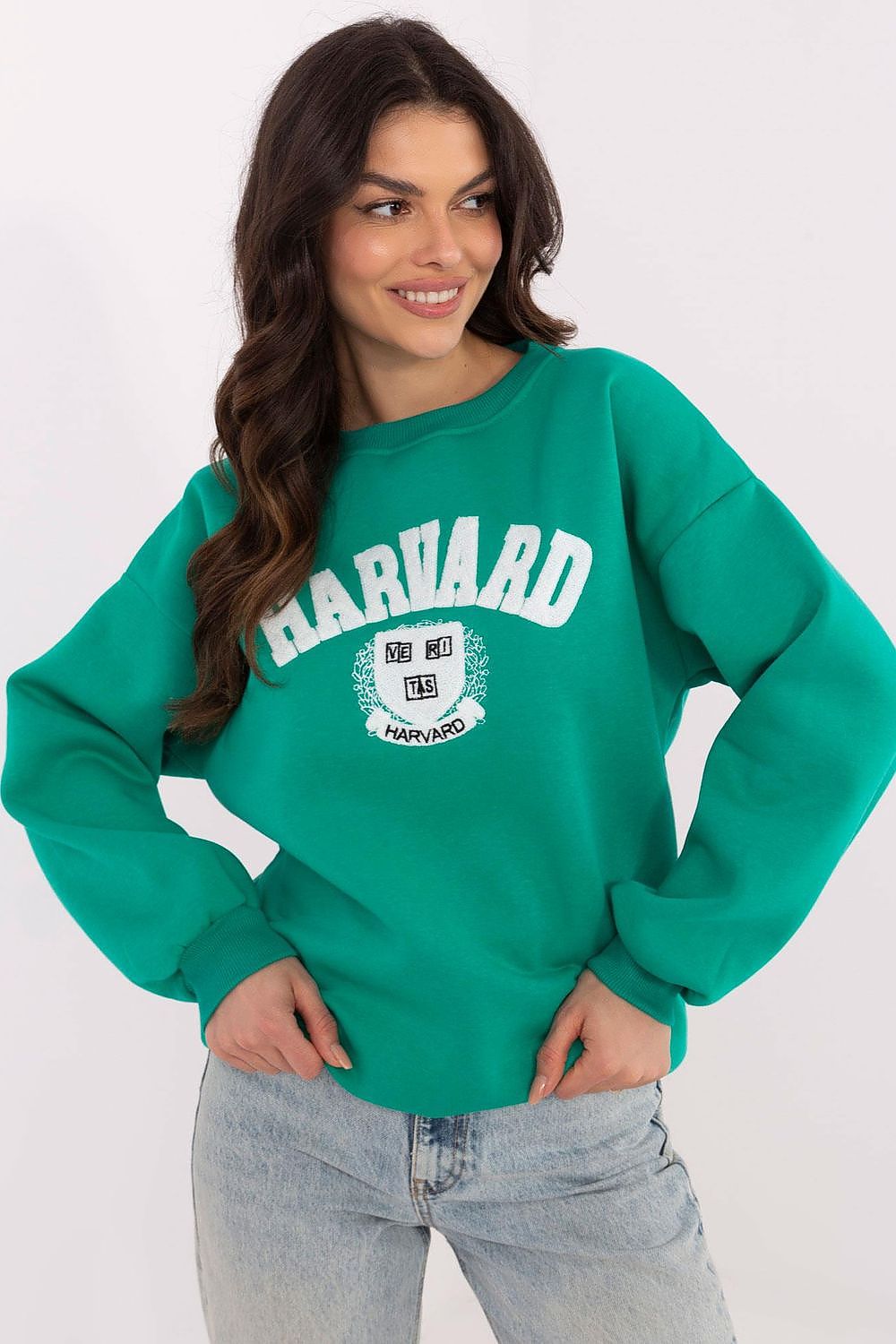 Women Regular Graphic Sweatshirt Urban Style-Women Sweatshirt-LeStyleParfait