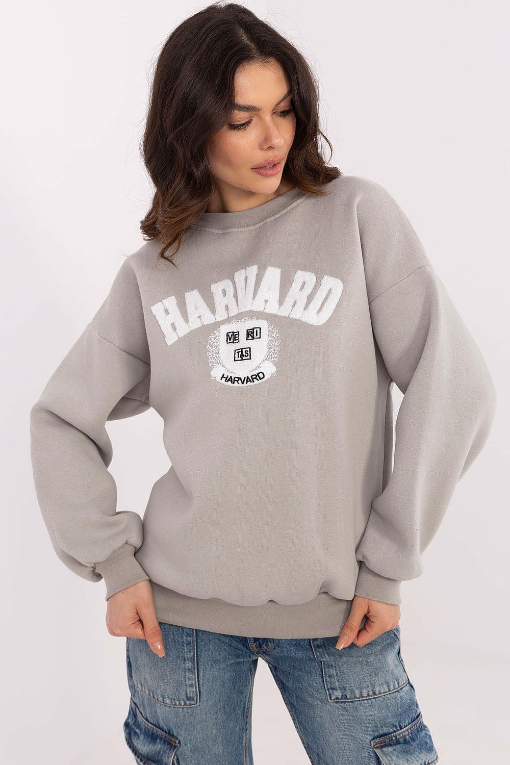 Women Regular Graphic Sweatshirt Urban Style-Women Sweatshirt-LeStyleParfait