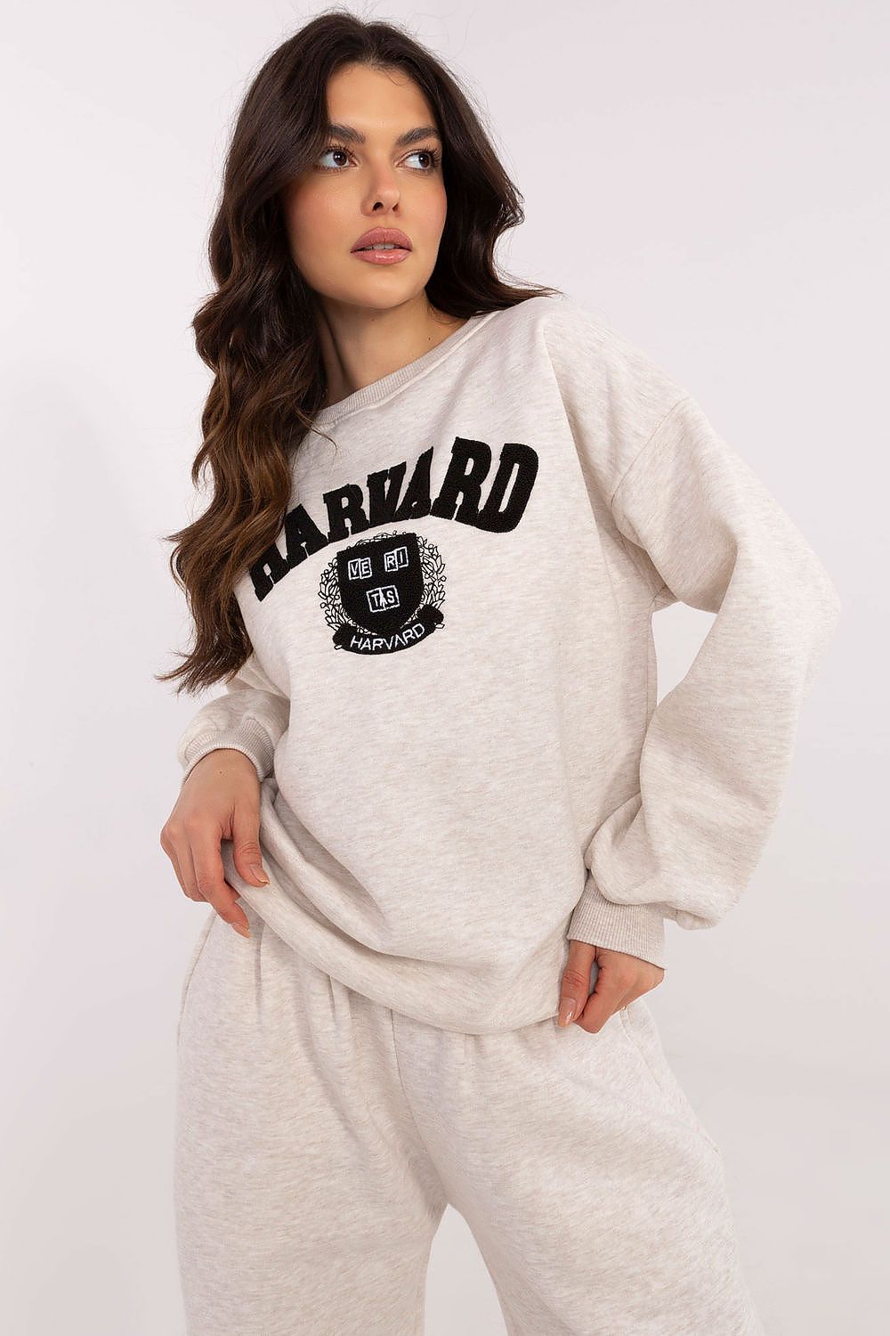 Women Regular Graphic Sweatshirt Urban Style-Women Sweatshirt-LeStyleParfait