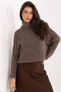 Women Turtleneck Boucle Sweater Winter Knit-Women's Sweater-LeStyleParfait