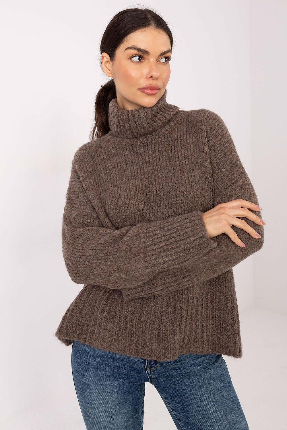 Women Turtleneck Pullover Sweater Winter Knit-Women's Sweater-LeStyleParfait