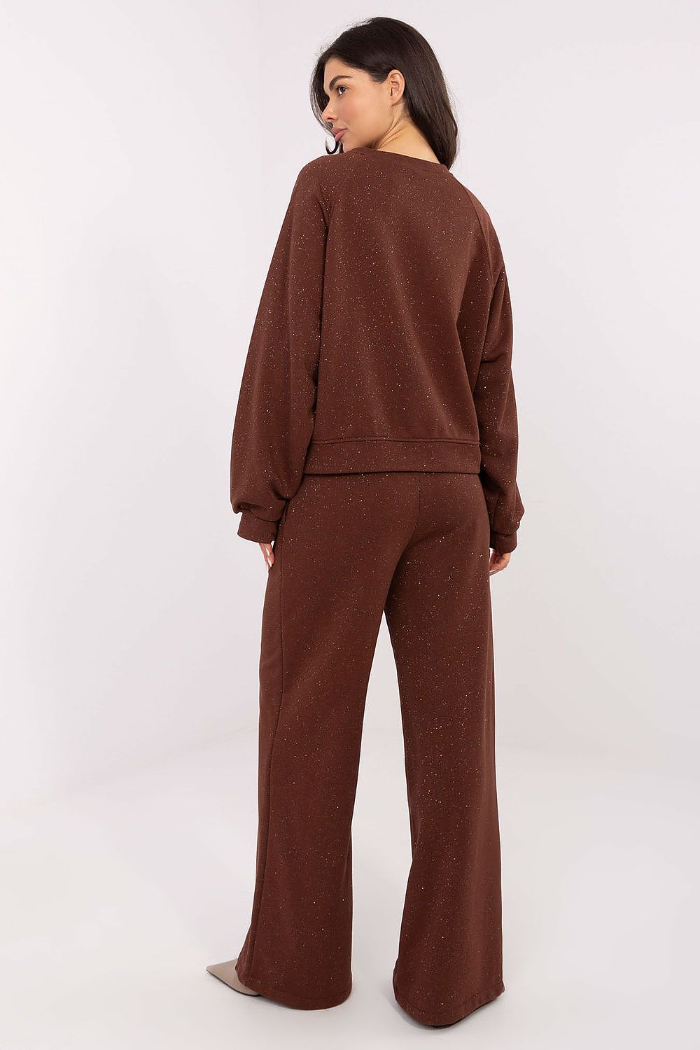 Women's Loose Plain Crewneck Sweatshirt — Brown-Women Sweatshirt-LeStyleParfait
